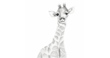 Giraffe Sketching