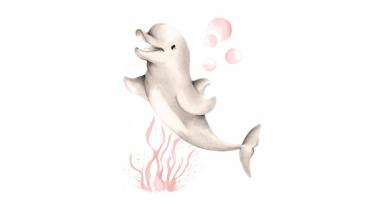 60min Drawing Lesson: Dolphin