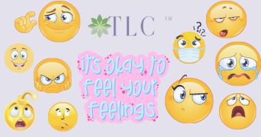 Emotional Intelligence - T.L.C. Communication