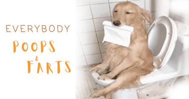 Everybody Poops And Farts (A Hilarious Journey Into The World Of Animal Poop and Farts)